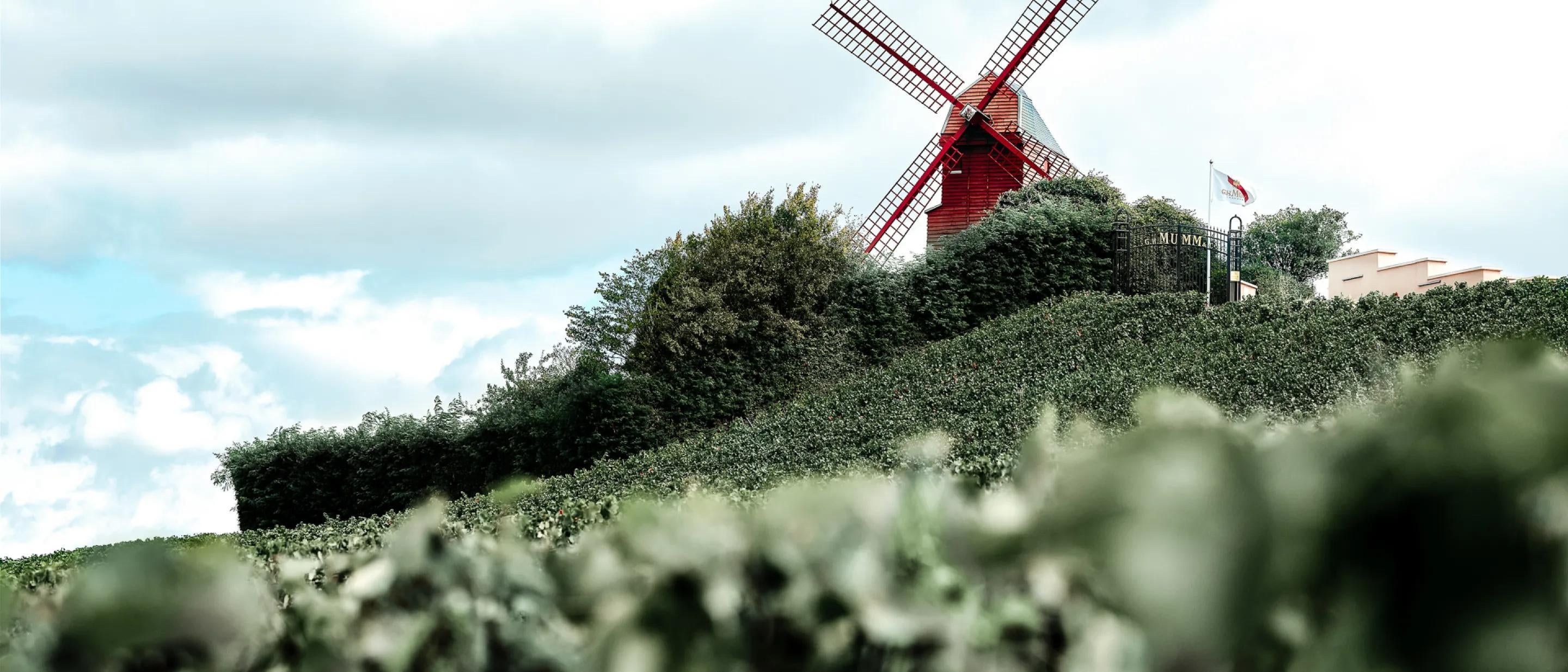 Mumm - Moulin Verzenay